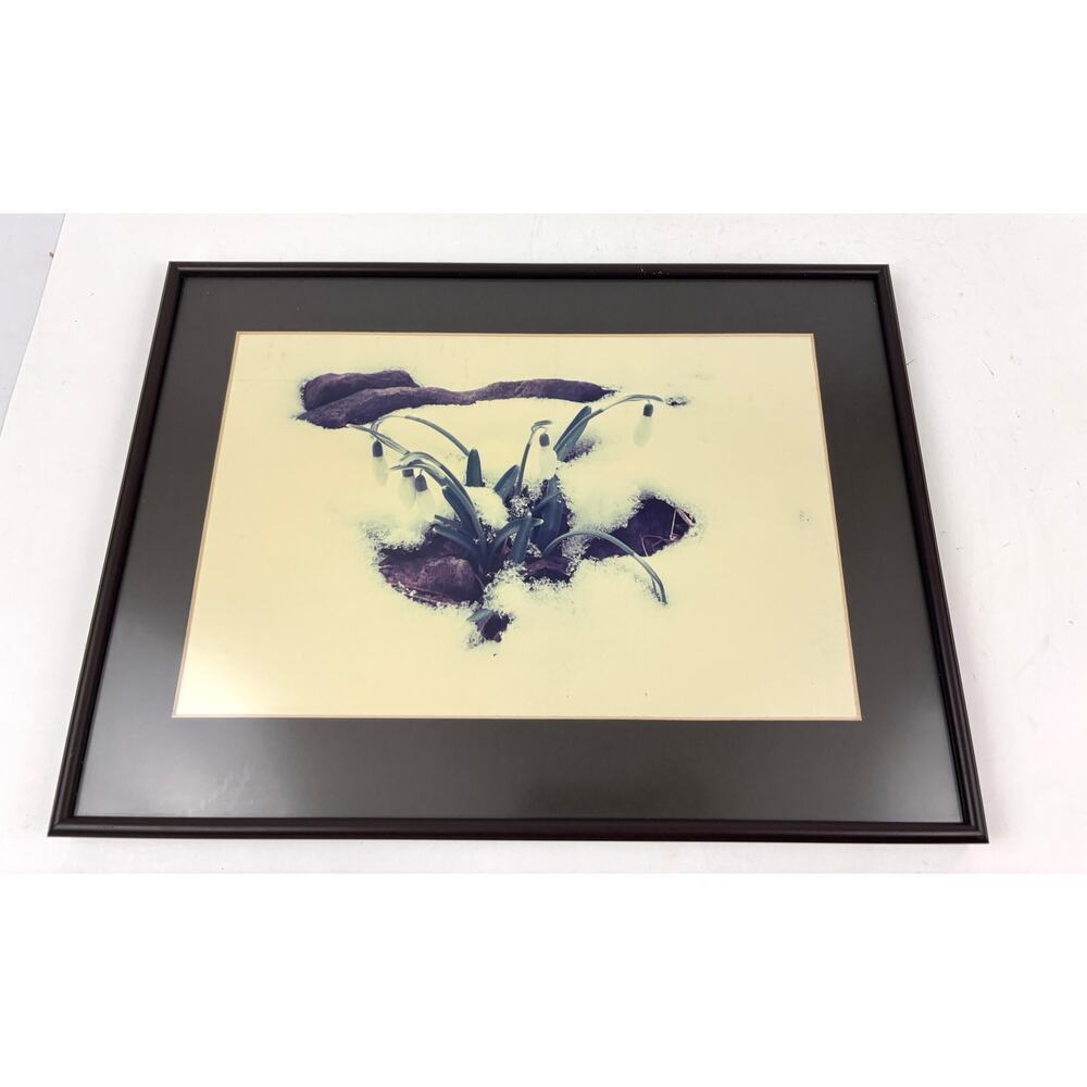 Vintage White Flower in Snow Print Matted‎ and Framed Wall Decor Art